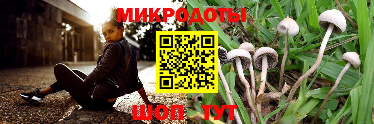 Псилоцибиновые грибы мицелий Ликино-Дулёво