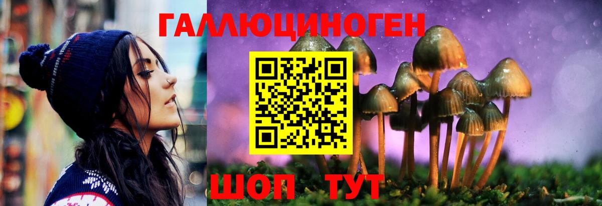 Псилоцибиновые грибы Cubensis  Галлюциногенные грибы Psilocybe  Вход с VPN  купить  сайты  Ликино-Дулёво 